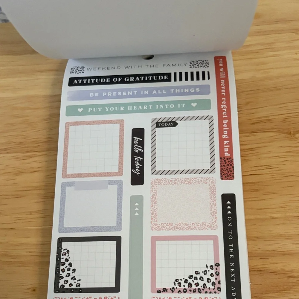 The Happy Planner Colorful Leopard Sticker Book. New